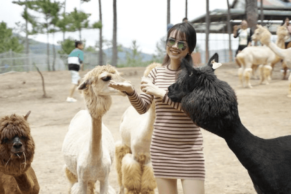 Tour Đà Lạt  1 ngày - Tham quan sở thú ZOO DOO