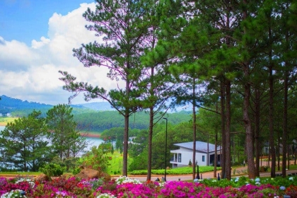 Tour Đà Lạt 3 ngày 2 đêm full lịch trình