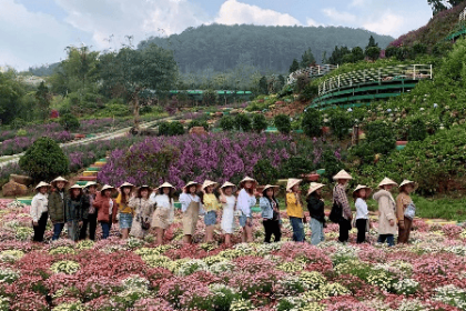 Tour Đà Lạt 4 ngày 3 đêm