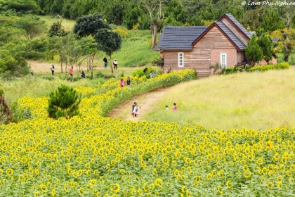Tour Đà Lạt – Farm Cánh Đồng Hoa 4 ngày 3 đêm