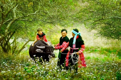 Tour Du Lịch Sapa - Chợ Bắc Hà