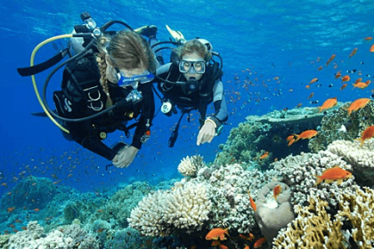 Tour Nha Trang - DU NGOẠN ĐẢO 1 ngày