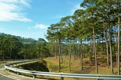 Tour TP. ĐÀ LẠT – NHA TRANG 5 NGÀY 4 ĐÊM